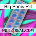 Big Penis Pill 22